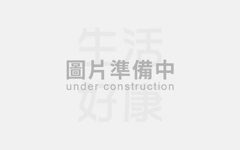 成立新公司